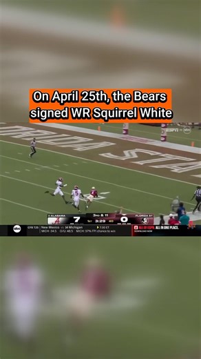 The Shortest NFL Career