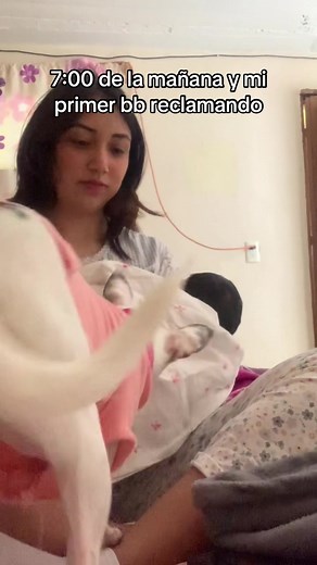 Mis bebés #paratii #perros #fyp #dogs #mamaprimeriza #postpartum #posparto #girlmom
