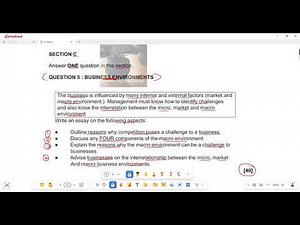 Business Studies Grade 10 March Exam Term 1 Business Environments and Business Operations Essays