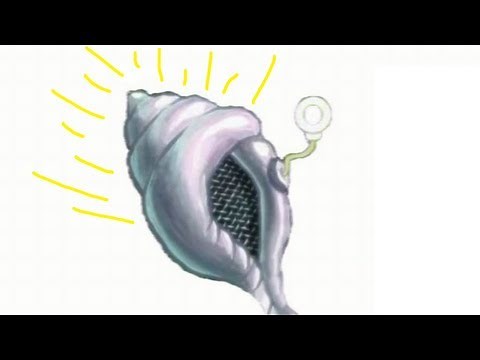 Die Magische Miesmuschel und ihre heiligen Sprüche
