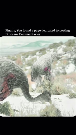 ⏰ 𝗙𝗼𝗹𝗹𝗼𝘄 𝘁𝗼 𝗴𝗼 𝗯𝗮𝗰𝗸 𝗶𝗻 𝘁𝗶𝗺𝗲 on Instagram: "A feathered Tyrannosaurus bursts from the treeline like a living avalanche—dark plumage rippling as it accelerates, each step hammering the ground. Its prey bolts in panic, weaving through brush, but the tyrant doesn’t rush blindly. It keeps a brutal, steady pace, eyes locked, using its size to cut angles and force mistakes. The chase turns into a pressure game: the prey swerves, stumbles, and loses speed for just a second. That’s al