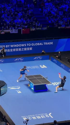 One Hit #tabletennis #sporttv #shortvideo