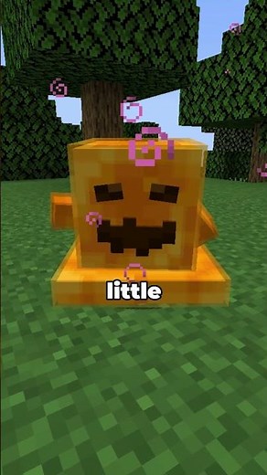 This mob is very cute #minecraft