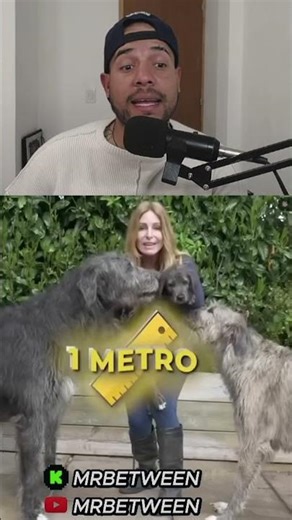 seguime para mas contenido curioso!!!