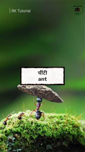 Word of the Day: [Word] #EnglishVocabulary#AdvancedEnglish#EnglishWords #facts #education