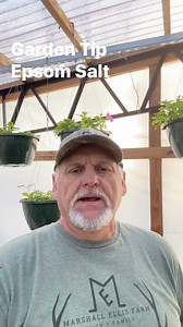 770K views · 16K reactions | Garden Tip. Adding Epsom salt to Feed Your Plants # gardening #gardentips #raisedbedgardening | Tdgn Greenhouse | Facebook