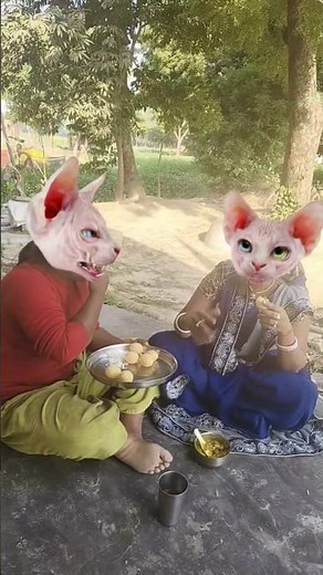 💥💥Golgappe 🌶️🌶️golgappe 😛😛😛Golgappe 🤣🤣😅😅😅💥💥💥👿 funny# 🌶️🌶️video #🌶️🌶️🌶️