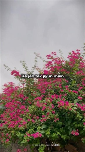 Main jis din bhula dun tera pyar dil se lyrics ❤️ Main jis din bhula du song #shorts #jubinnautiyal