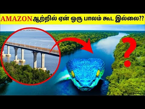 அமேசான் ஆற்றில் ஏன் பாலம் கட்ட முடியவில்லை? | Why Amazon River Has No Bridge? | Tamil Amazing Facts