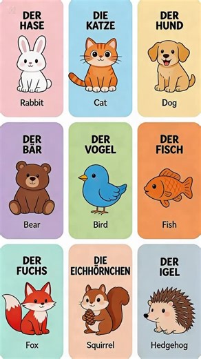 Deutsch Prüfung | Let’s learn some basic German nouns with articles 👇 🐰 der Hase – rabbit 🐱 die Katze – cat 🐶 der Hund – dog 🐻 der Bär – bear 🐦 der Vogel –... | Instagram