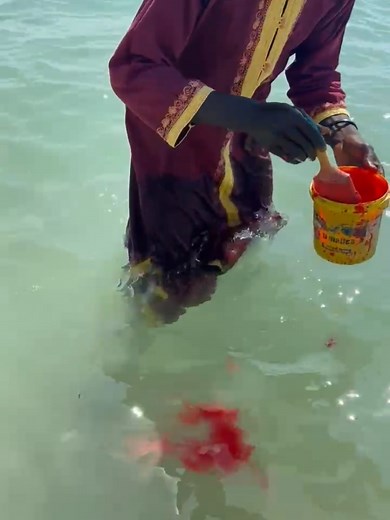 Discover Senegal's Unique Lac Rose Experience
