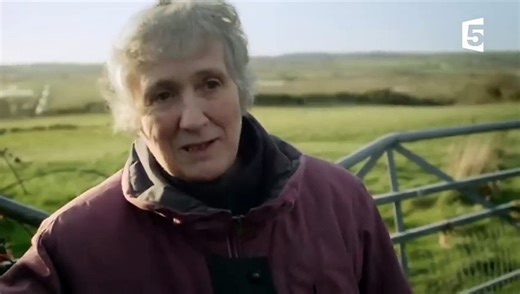 Un chat devient guide d'un chien aveugle - ZAPPING SAUVAGE