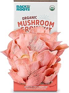 Back to the Roots Organic Pink Mushroom Grow Kit, Harvest Gourmet Mushrooms In 10 Days