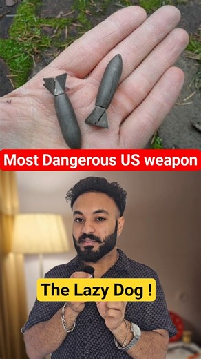 most dangerous US weapon that do not explode 🤯 the lazy dog is pure art of physics #mindblowingfacts