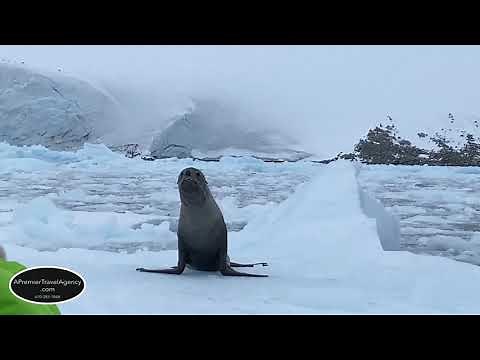 Welcome to the “World Navigator” Cruise Ship from Atlas Ocean Voyages
