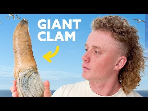 Harvesting Washington's Most Exotic Shellfish