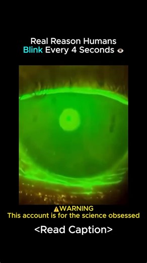 Science on Instagram: "👁️ Ophthalmology: The Physics Of The Tear Film The Tear Film Is Not Merely Water; It Is A Complex Trilaminar Fluid Engineered To Defy Gravity And Evaporation. 💧 It Consists Of Three Distinct Layers: The Inner Mucin Layer (Which Adheres To The Cornea), The Middle Aqueous Layer (Which Hydrates), And The Outer Lipid Layer (Oil). The Lipid Layer Is Critical. Without It, The Water Would Evaporate Instantly. When You Stare At A Screen, Your Blink Rate Drops From \sim 15 To Jus