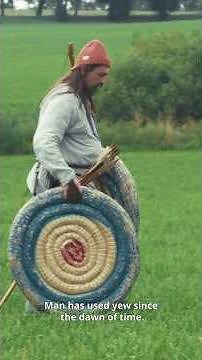 The history of the yew #tree #nature