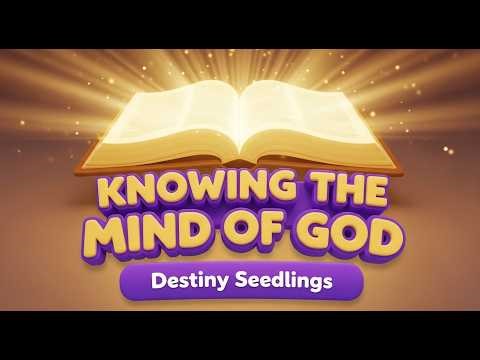 DESTINY SEEDLINGS – FRIDAY, 27TH FEBRUARY 2026