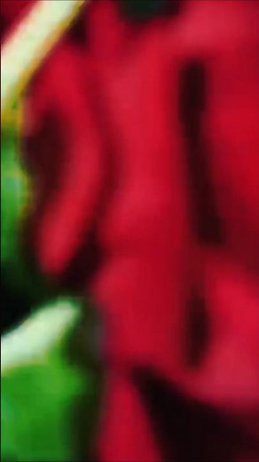 dil tuti lagi hamko hola na abaj ho #viralhindishorts #reels