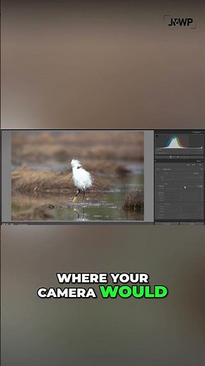 Shoot DARKER! Keep Details By Underexposing Photos! 1