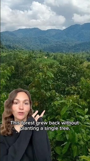 Zero trees planted 🌳