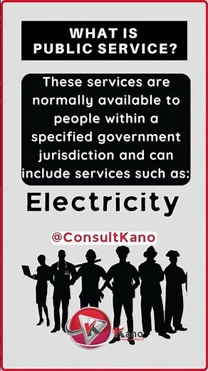 What is Public Service? Definition Of Public Service Explained | 8 Examples You Need To Know Now