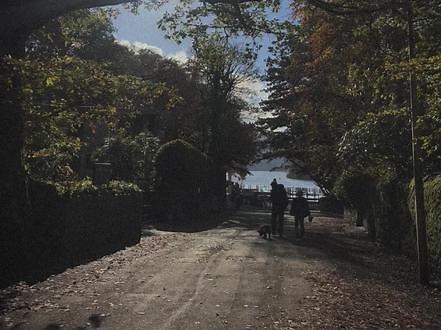 不必那么介意孤独 或许它比爱更舒服