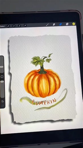 Watercolor pumpkin drawing on Procreate 🎨✨ #shorts #procreateart
