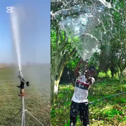 At EcoGrow Farms, we are focused on eco-friendly farming practices #agriculture #money #food #viral_video #tiktokviral #ecogrowfarms