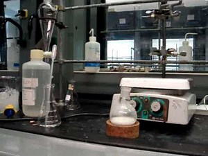 Synthesis of Benzocaine CHEM2050