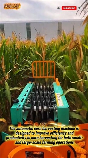 Automatic Corn Harvesting Machine – Fast and Efficient Farming #innovation #shorts