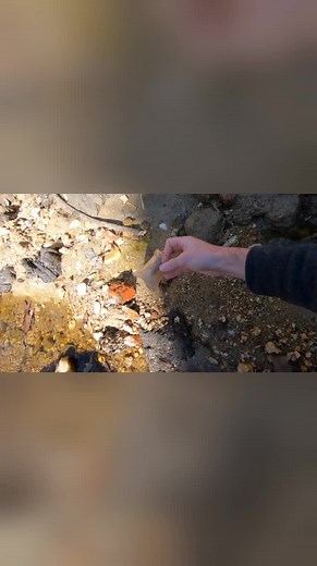 Someone Found My Secret Spot.. .But They Missed This! (Creek Finds!) | Nugget Noggin