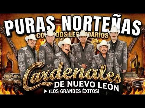 Cardenales de Nuevo León Éxitos Románticos 🔥 Mix Norteño 2026 | Belleza De Cantina, Mi Cómplice