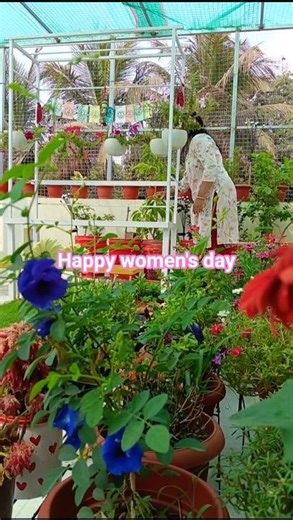 apke liye kya hai?#gardening