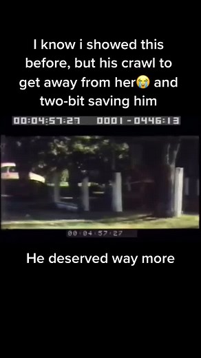 That’s his mom btw, this is a deleted scene #theoutsiders #johnnycade #johnnyoutsiders #johnnycake #theoutsidersjohnny