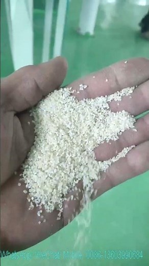50tpd white maize grits semolina meal milling machine