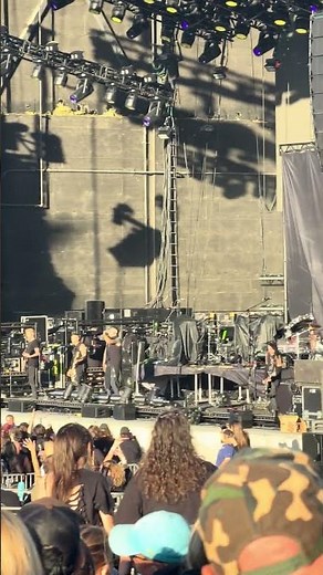 Orgy Live