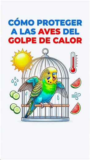🤯💯 "Cuidados importantes para aves en verano. #foryou #drjuan