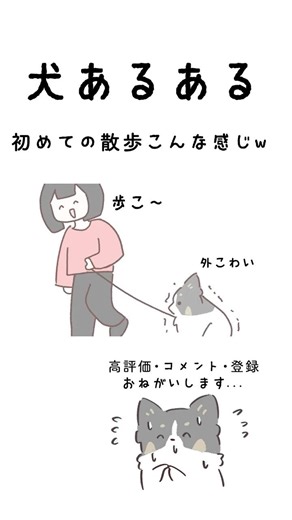 【犬あるある】犬、お散歩初心者の頃と今の違い【アニメ】#犬 #アニメ #あるある #犬のいる暮らし #かわいい