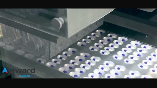 EPI-3015 PDA Blister Machine | NETZSCH Pumps Systems USA