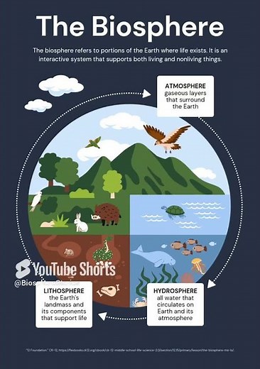What's Biosphere #biosphere #youtube #youtubeshorts #ytshorts #lithosphere #hydrosphere #atmosphere