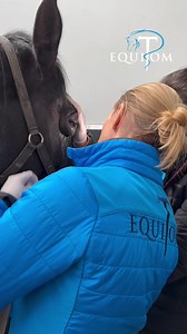 600K views · 10K reactions | ‍ De nombreuses Les blessures peuvent...