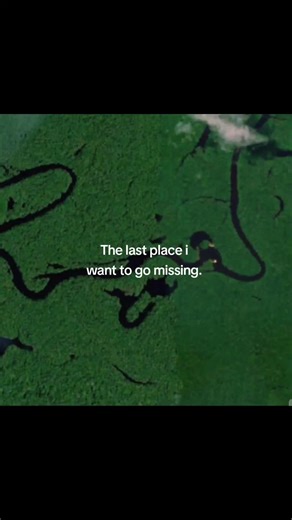 Missing Person Case: Amazon Rainforest Mystery