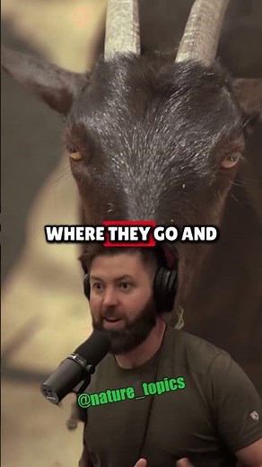 The Genius Behind the Judas Goat Strategy Explained by Forrest Galante & Joe Rogan