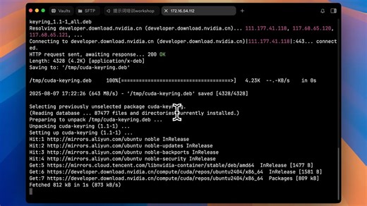 NVIDIA-driver-installer 安装过程