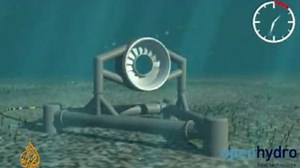Green energy project endangers fish life