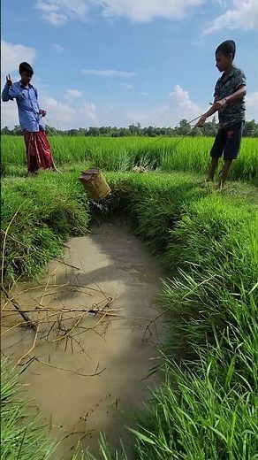 Village Irrigation System | Modern Irrigation and Agriculture"