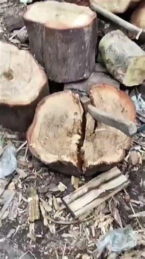 Splitting large wooden logs using metal wedges,hammer for firewood preparation and woodworking tasks