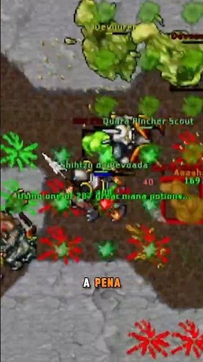 Tibia - Quara invasion in Oramond West makes this a sensational hunt for Paladins 🚀